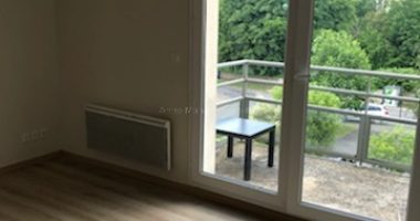 d833577e-2.jpg